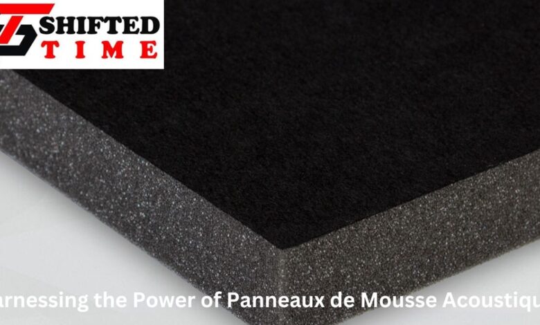 Harnessing the Power of Panneaux de Mousse Acoustique