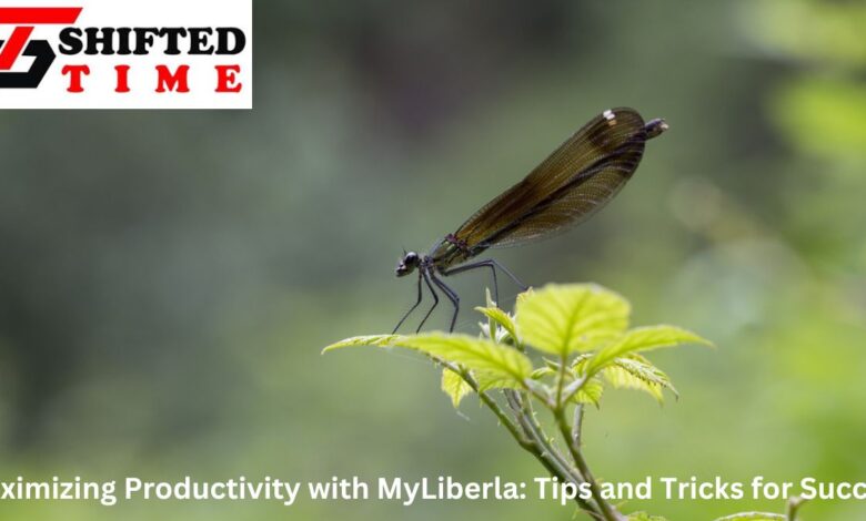 Maximizing Productivity with MyLiberla: Tips and Tricks for Success